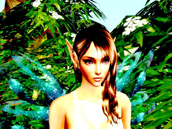 Fairy