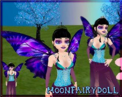 Fairy
