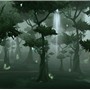 Terokkar forest