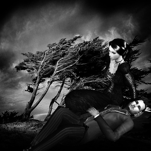 wuthering heights book. Wuthering Heights