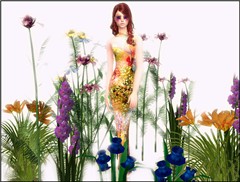Where is the real flower?