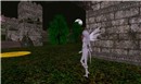 Avilion Grove