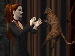Catching Kitty