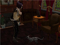 Bad Kitty - 2