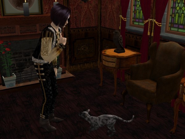 Bad Kitty - 2