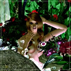 MarySara Nature