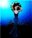 Under The Sea