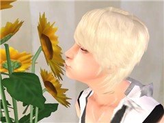 with sunflower:D