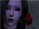 RoseThorns