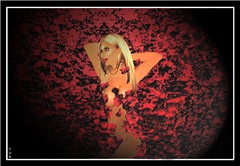 American Beauty