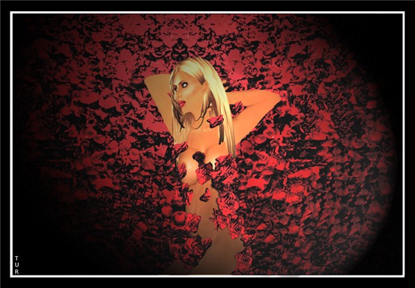 American Beauty