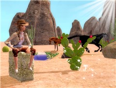 Cowboy