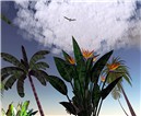 Snapshot_062