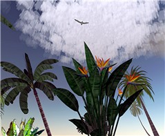 Snapshot_062