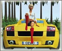 Pin Up