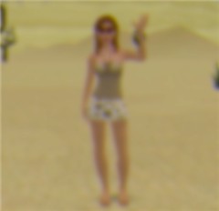Paintshop md blur