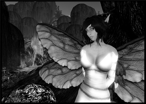 wings2_024