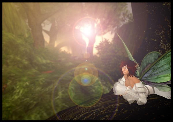 wings2_037
