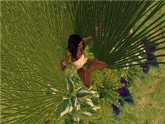meditation