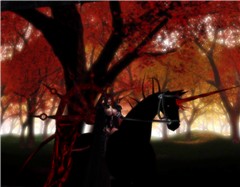 Dark Rider1