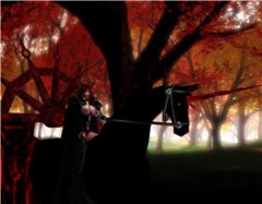 Dark Rider2
