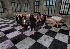Nightfall Neko Meeting....