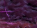 Screeny 2
