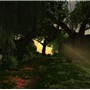 straylight
