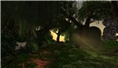 straylight