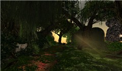 straylight