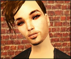 Ashley 1