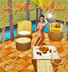 Memory of summer