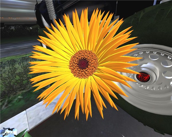 Sunflower