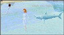 Shark !