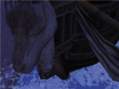 shipface
