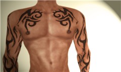 Torso