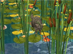 Here fishy fishy!