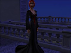 my version of bloodrayne night