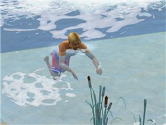 A Day At The Beach