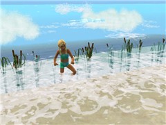 A Day At The Beach 