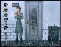 Door 256