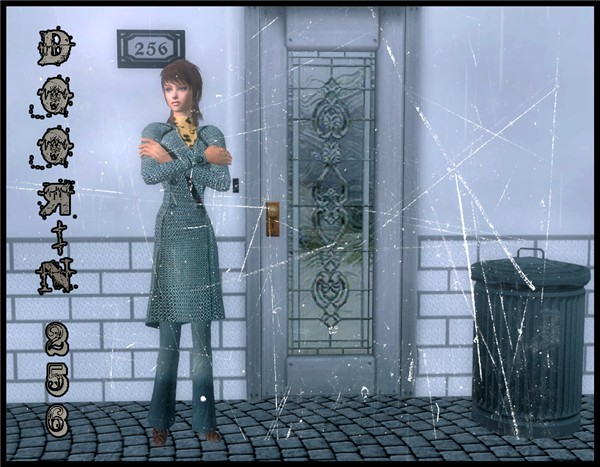 Door 256