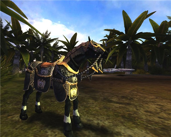 HORSE1