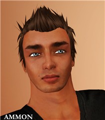 Ammon Potrait