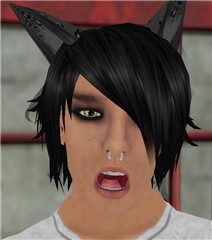 The Many faces of Thoren