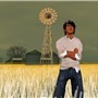 Cornfield