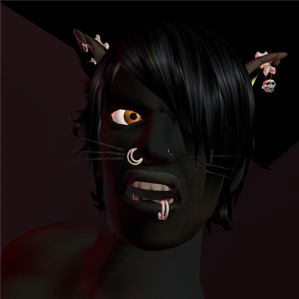 neko_balduin_105