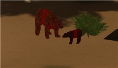 Icarus