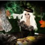 fall