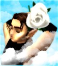 Imagine Peace